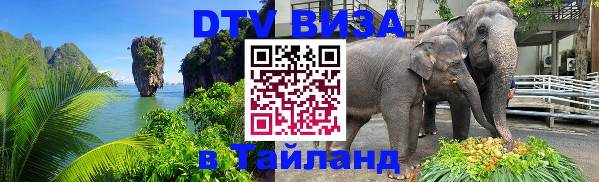 Сколько стоит DTV виза — актуальные цены, оформление даже без документов - Смоленск 